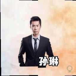 孙琳